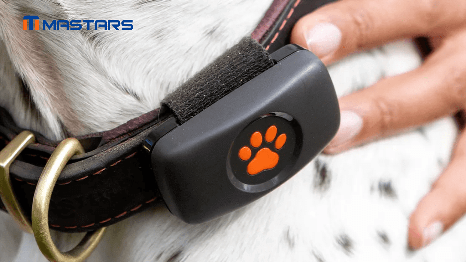 The pet tracker attaches easily and securely to your pet’s collar. The pet tracker attaches easily and securely to your pet’s collar.