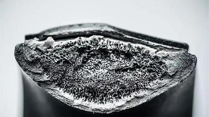 injection molding injection molding