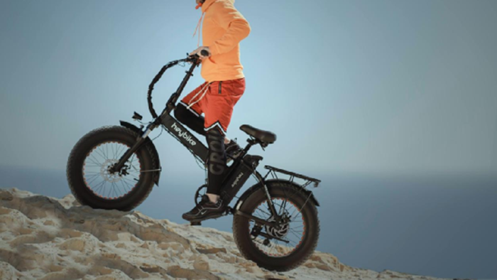 Electric traveling crane Electric traveling crane