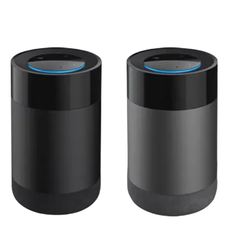 Smart Speaker